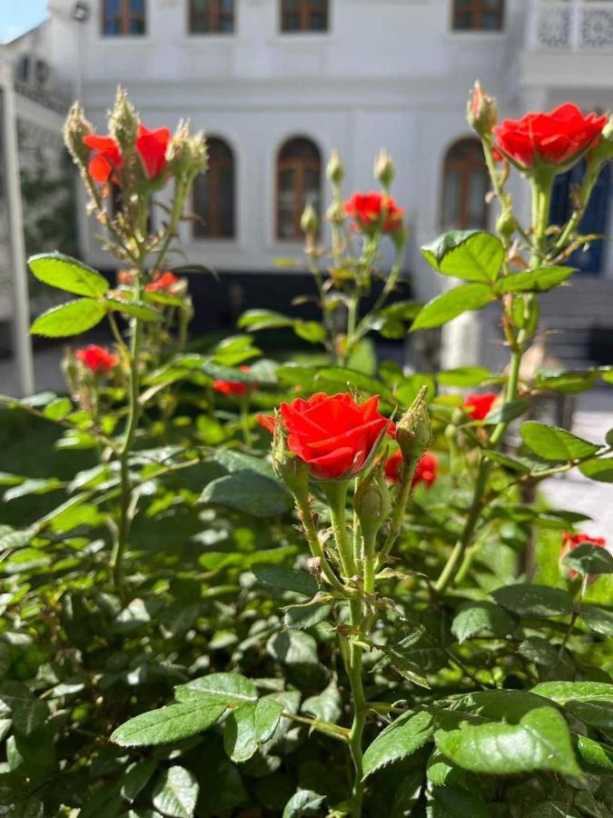 The Shahar Hotel Tashkent Bagian luar foto